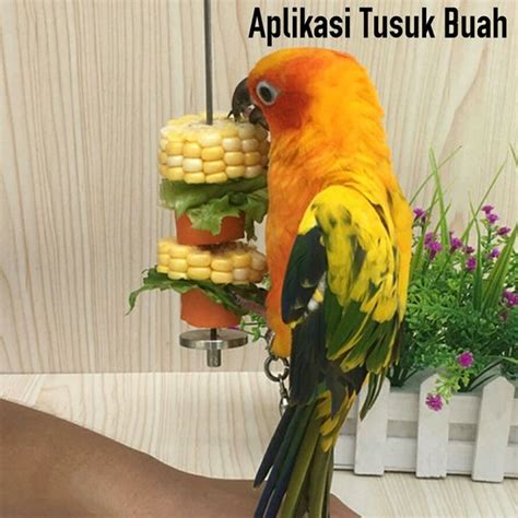 Jual Tempat Makanan Falk Parkit Lovebird Nuri Afgrey Kakatua Macau Dll