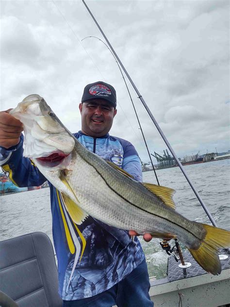 Guia De Pesca No Guaruj Pesca De Robalo