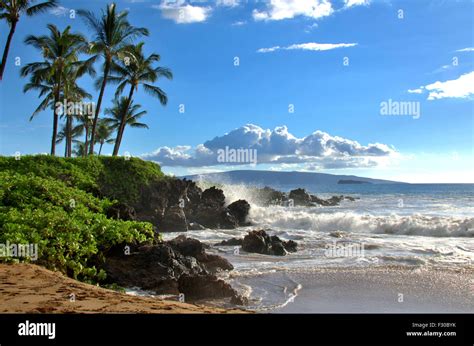 Tropical Hawaiian beach scene with palm trees, Maui, Hawaii. Scenic ...