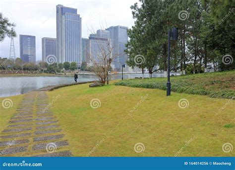 The Lake Shore of Futian Park, Adobe Rgb Editorial Photo - Image of ...