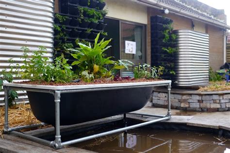 10 Diy Aquaponics Ideas To Get Started Right Now Gardening Heavn