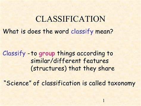 The Definition Of Classification