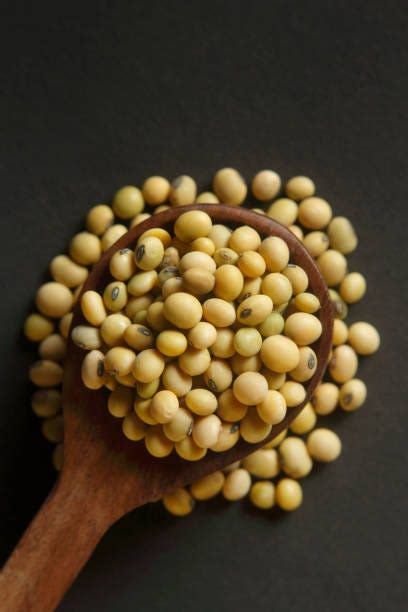 Organic Soybean Market Analysis: Growth Drivers and Future Trends | by ...