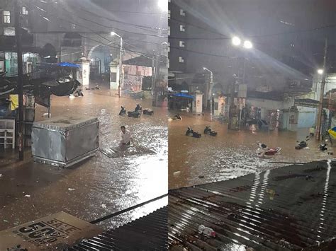 Hyderabad Rains Birds Washed Away At Murgi Chowk