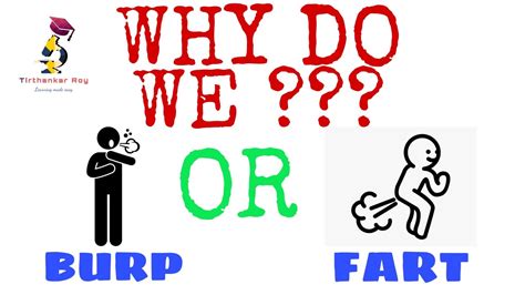 Why Do We BURP Or FART YouTube