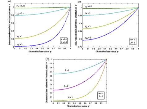 Normalized Substrate Concentration V Versus Dimensionless Space Y Were