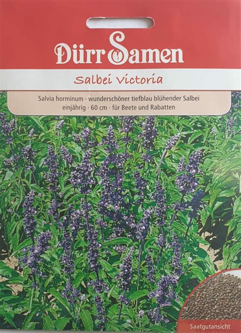 Salbei Salvia Horminum Victoria Von D Rr Samen Saatgut Shopping