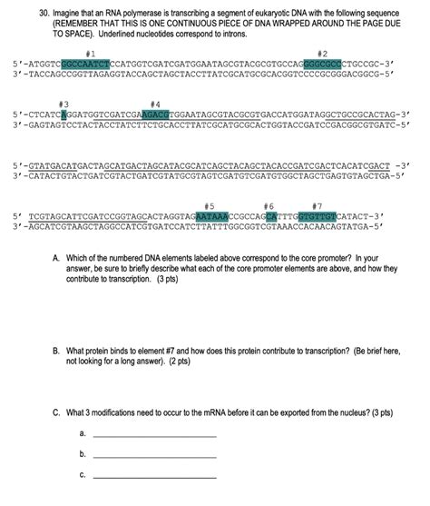 Solved Imagine That An Rna Polymerase Is Transcribing A Chegg