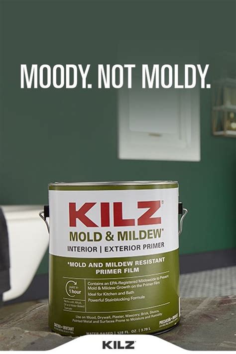 kilz mold and mildew ceiling paint - Unbelievably Well Vlog Efecto