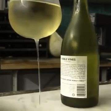 Wine Glass GIFs - Get the best GIF on GIPHY