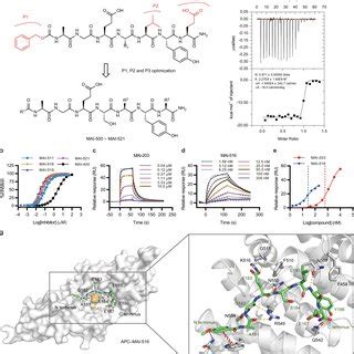 Design Biochemical And Structural Characterization Of High Affinity