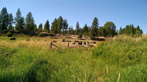 Rail Trailing: Columbia Plateau Trail