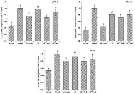 Mrna Expression Level Of Cox 2 Nf κb And Tnf α In Mouse Liver