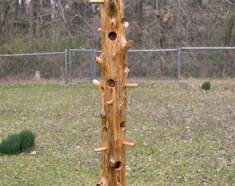 Suet Cedar Log Bird Feeder Etsy