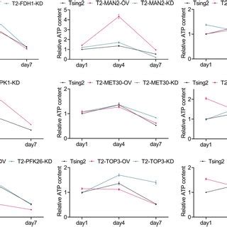 Dynamic Changes Of The Relative Intracellular Atp Levels In Overexpress