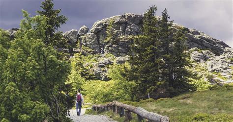 5 schönsten Wanderwege im Bayerischen Wald Wanderwege