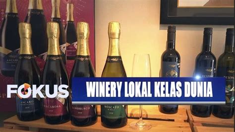 Mengenal Proses Pembuatan Wine Dalam Negeri Di Gianyar Vidio