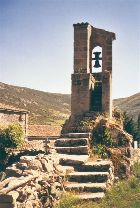 Piornos En Flor GREDOS GUIDES Te Invita A Recorrer En La Ruta Entre