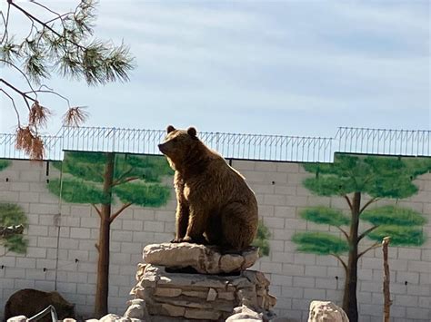 Zoos Del Mundo Parque Zoológico De Lillo Otros Zoológicos Españoles