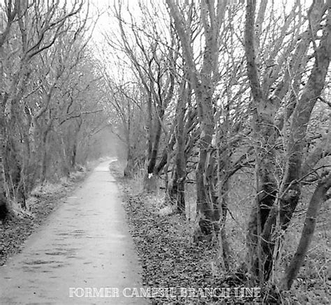 Old Branch Line Winter Tree Avenue D A V E F O R B E S E Flickr