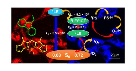 Charge Transfer Promoted Excited State Of A Heavy Atom Free