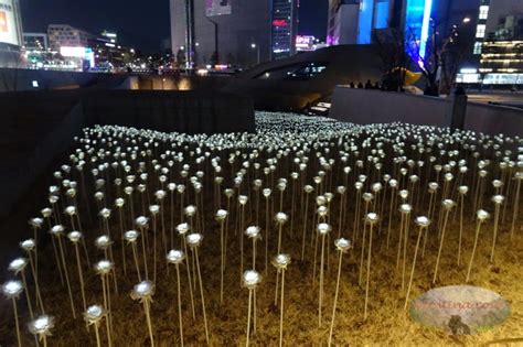 Seoul, South Korea: LED Rose Garden at Dongdaemun Design Plaza (DDP ...