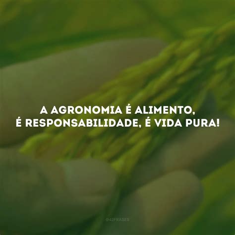 Frases De Agronomia Para Quem Apaixonado Pela Vida Do Campo