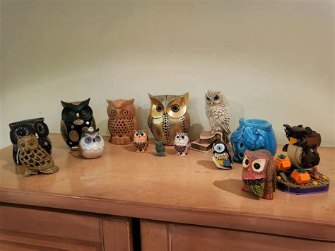 My Members of Parliament! 🦉 : r/Owls