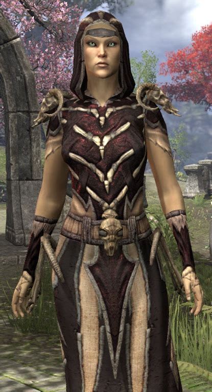 Eso Fashion Primal Ancestor Silk Elder Scrolls Online