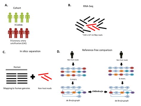 Framework Of The Study A We Analyze Cohort Of Eight Cases And Eight