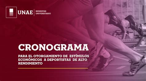 Cronograma para el otorgamiento de Estímulos Económicos a Deportistas