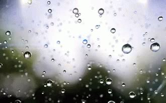 Rain Droplets GIFs | Tenor