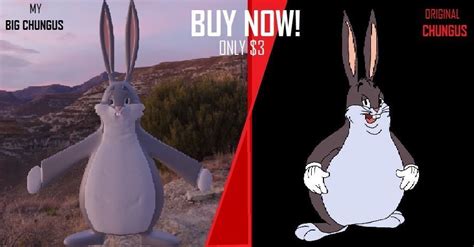 Big Chungus 3d Model Cgtrader