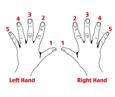 How To Read Sheet Music For Piano - Music Theory Academy