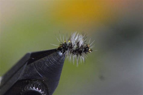 Four Kinds Of Fishing Flies The Catch And The Hatch