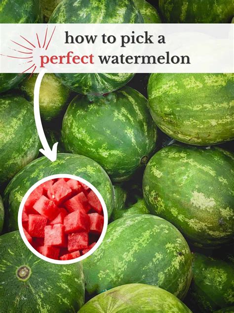 How To Pick A Perfect Watermelon ~sweet And Savory