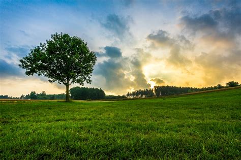 Green Sunlight Deutschland Tree Season Bavaria Cloud Sky