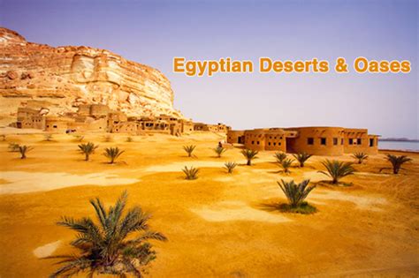 Egyptian Deserts And Oases Egypt Resorts Visit Egypt Travel Management