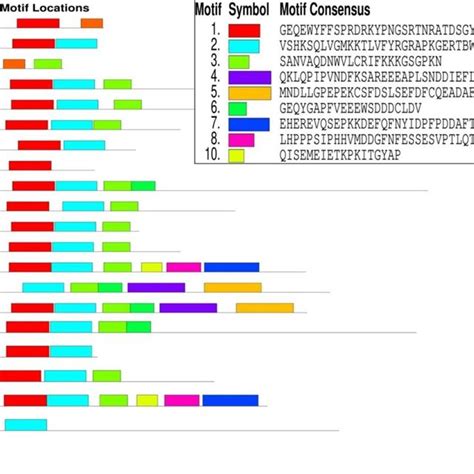 Distribution Patterns And Schematic Representation Of Conserved