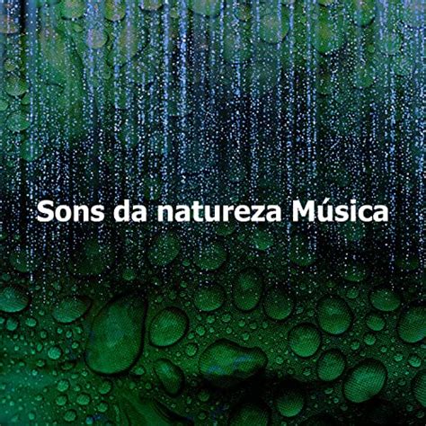 Amazon Music Sons Da Natureza Hd Sons Da Natureza M Sica Amazon Co Jp