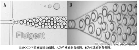 液滴微流控一液滴制备方法 微纳立方科技 知乎
