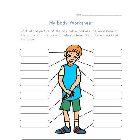 Body Parts Worksheet For Kids All Kids Network