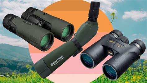 The Best Binoculars For Bird Watching According To Birders Huffpost Life