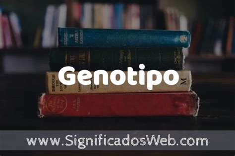 Concepto De Genotipo Que Es Definici N Y Significado