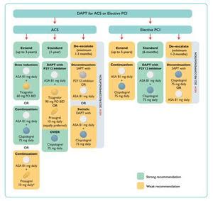 Updated Canadian Cardiovascular Society Guide Eurekalert