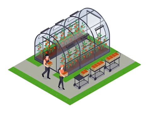 Greenhouse Farming Background Illustration Stock Vector Image By ©macrovector 300402682