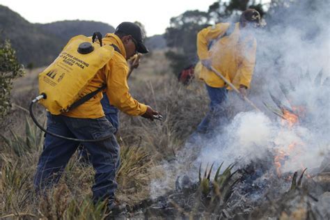 Gobierno de Saltillo abre centros de acopio para héroes forestales