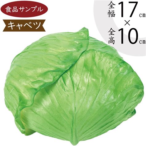 【楽天市場】食品サンプル キャベツ 人気 きゃべつ 甘藍 玉菜 リアル フェイクフード 野菜 ベジタブル サラダ 果物 造花 おすすめ