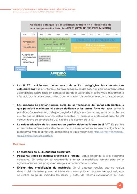 Orientaciones Para El Desarrollo Del A O Escolar Documento Resumen