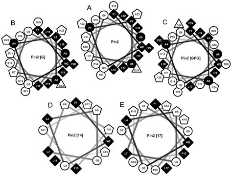 Helical Wheel Diagrams Of Pin And Pin Variants Helical Wheels Were